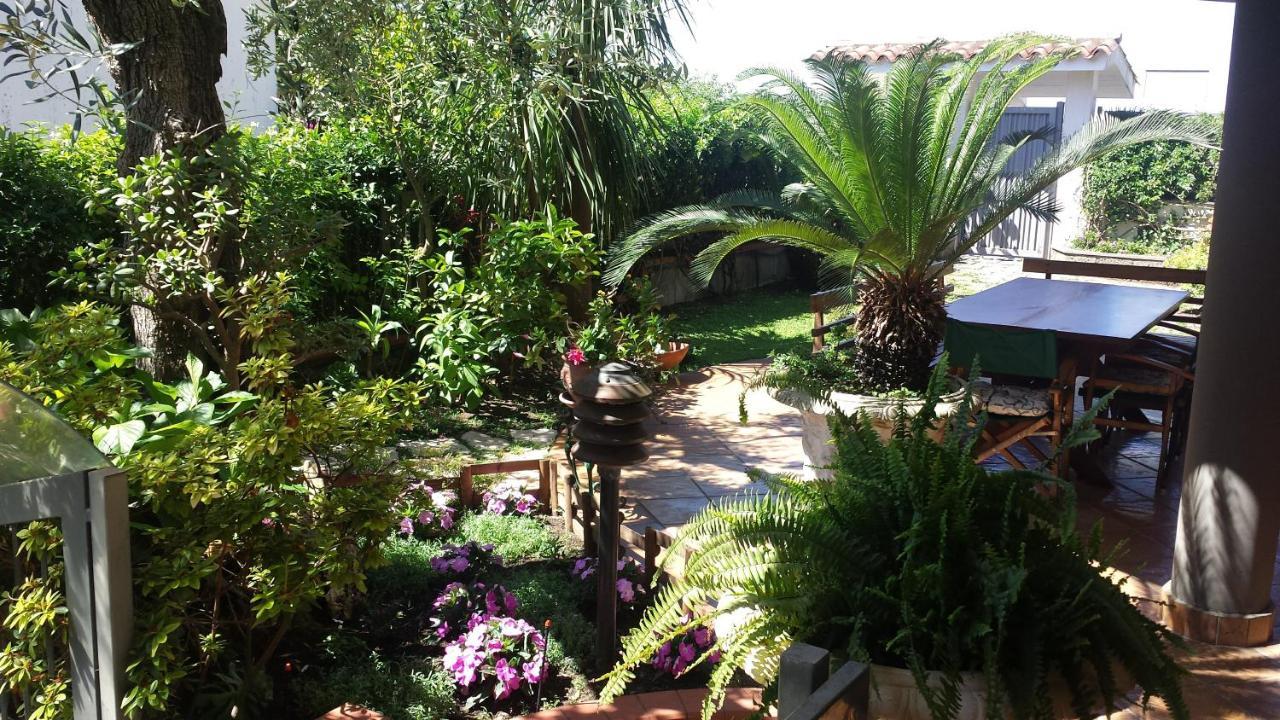 B&B Villa Noemi Φόρμια Εξωτερικό φωτογραφία